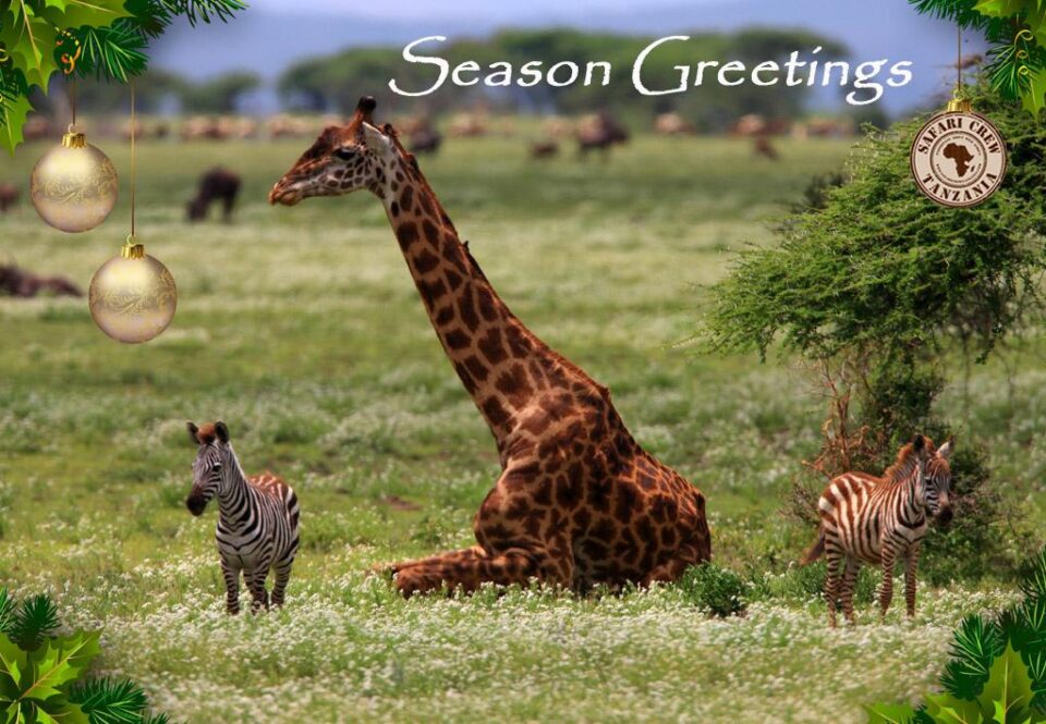 Season Greatings - Safari Crew Tanzania