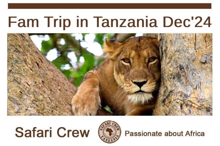 FAM TRIP in Tanzania con Safari Crew Tanzania