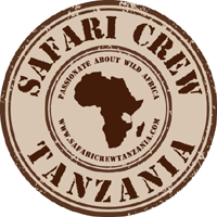 Safari Crew Tanzania
