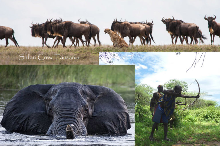 Tanzania best safari Country - Tanzania news