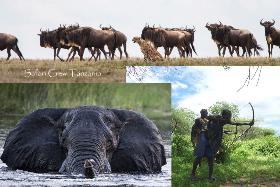 Tanzania best safari Country - Tanzania news