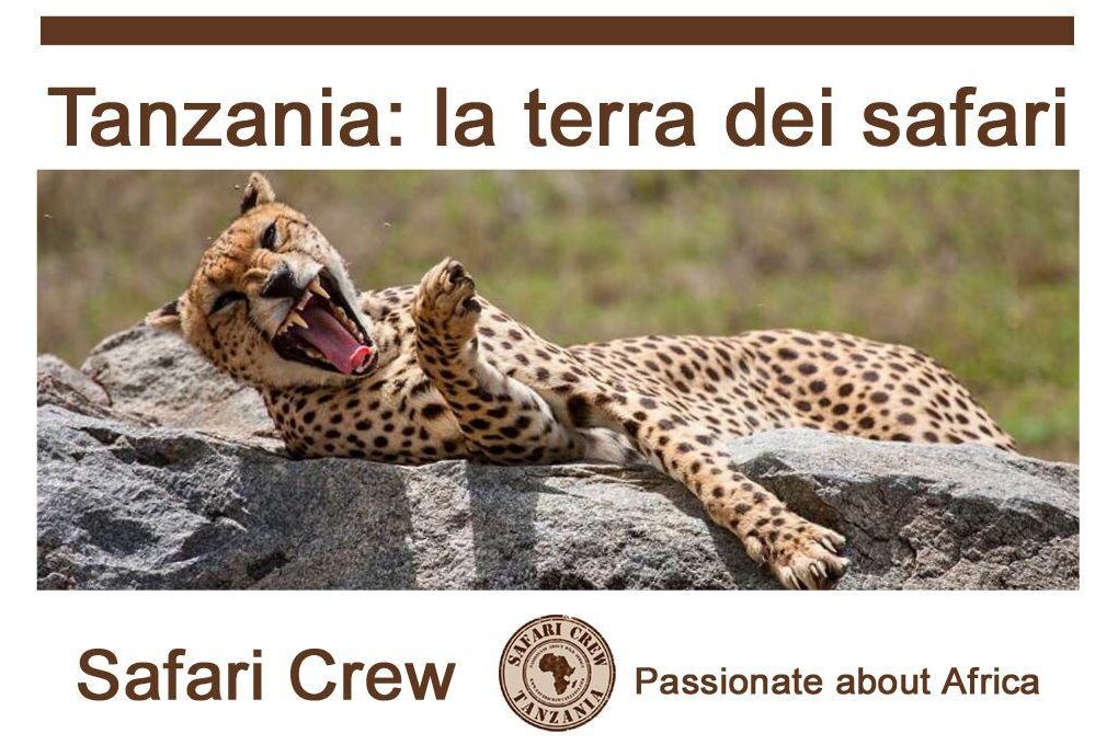 safari Tanzania guida italiano