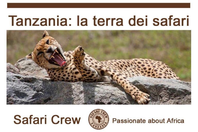 safari Tanzania guida italiano