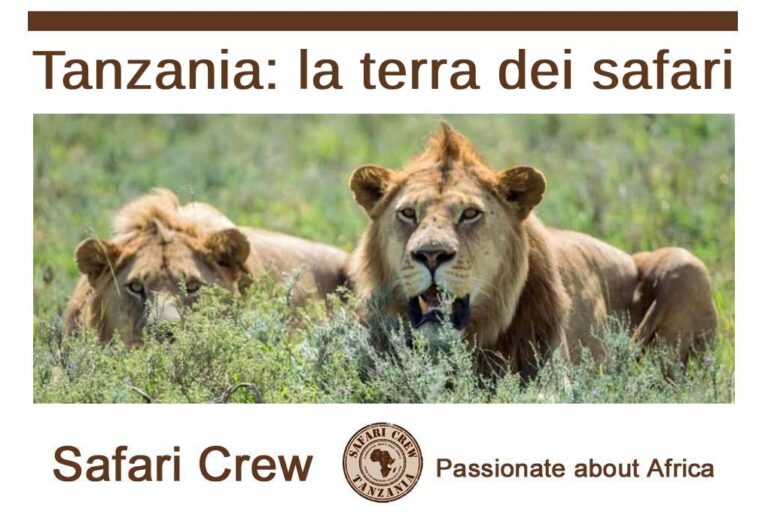 Safari in piccolo gruppo Tanzania guida italiano 2026