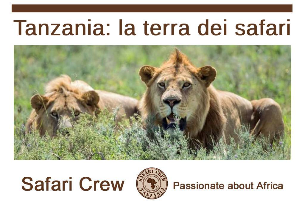 Safari in piccolo gruppo Tanzania guida italiano 2026