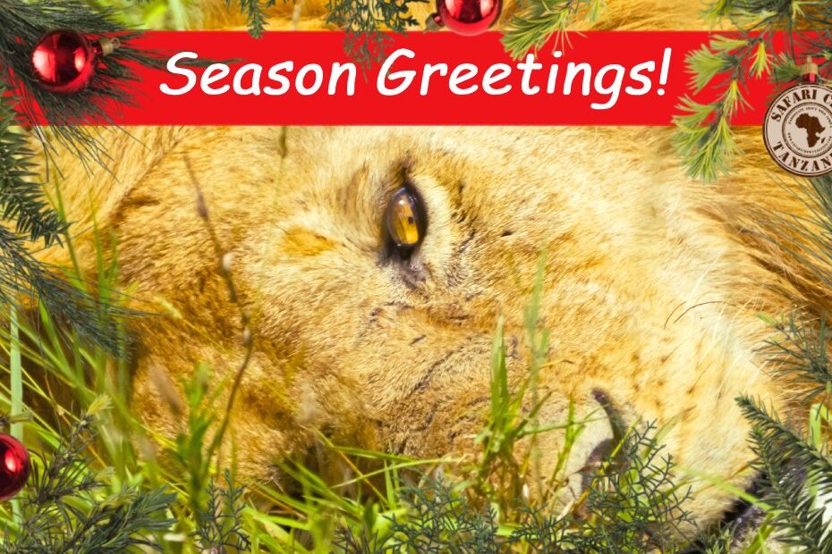 Season Greetings Safari Crew Tanzania