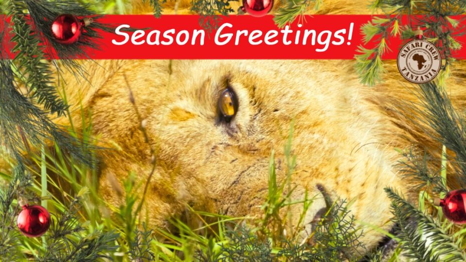 Season Greetings Safari Crew Tanzania