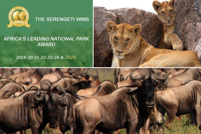 The Serengeti wins Africa's Leading National Park