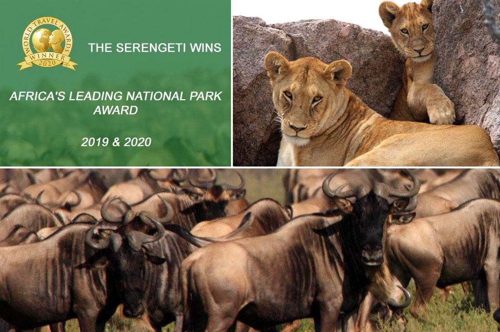 Serengeti best Africa's National Park Award – Safari Crew Tanzania