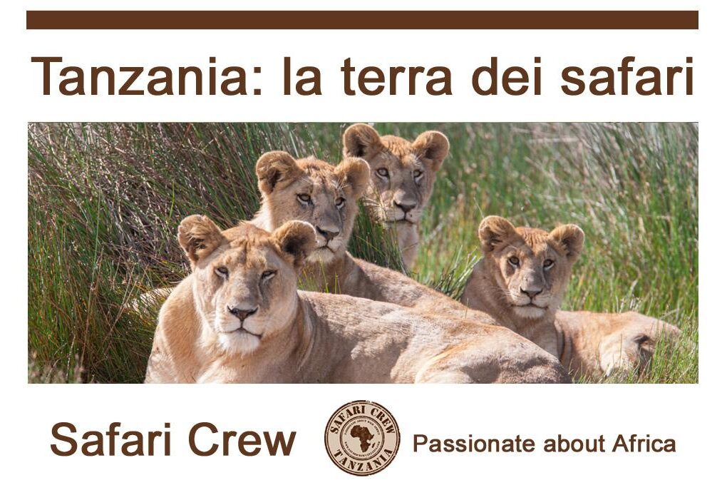 Tanzania safari guida italiano
