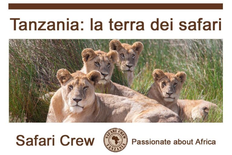 Tanzania safari guida italiano