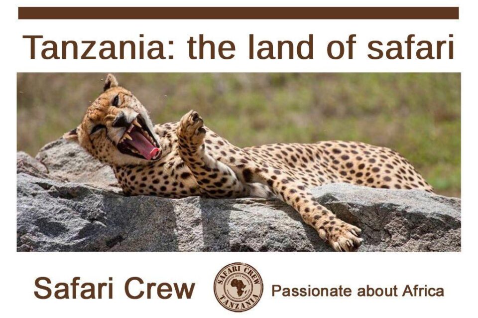 Tanzania small groups safari