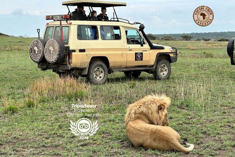 Tripadvisor Travellers’ Choice Award - Safari Crew Tanzania