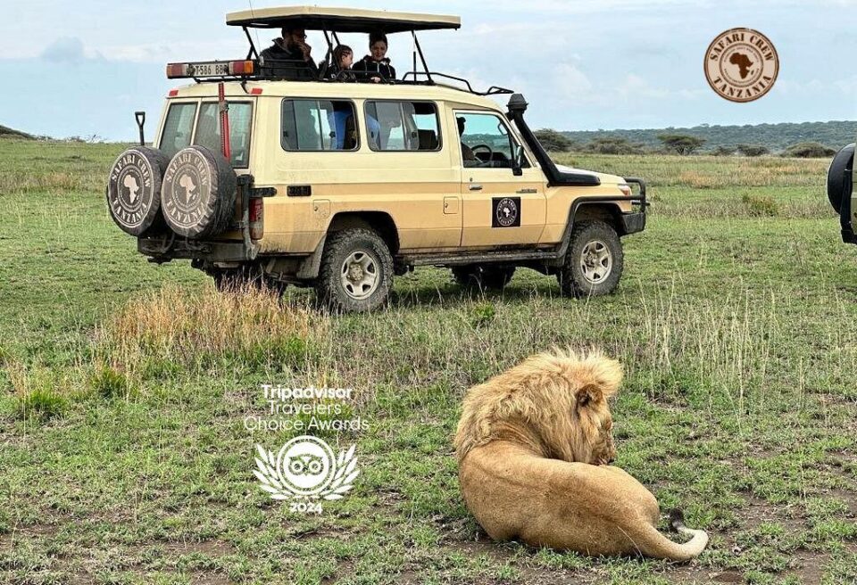 Tripadvisor Travellers’ Choice Award - Safari Crew Tanzania