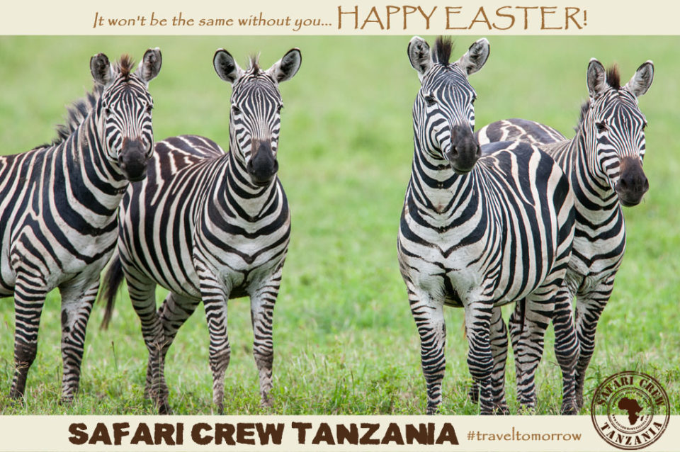 Happy Easter'20-Safari Crew Tanzania