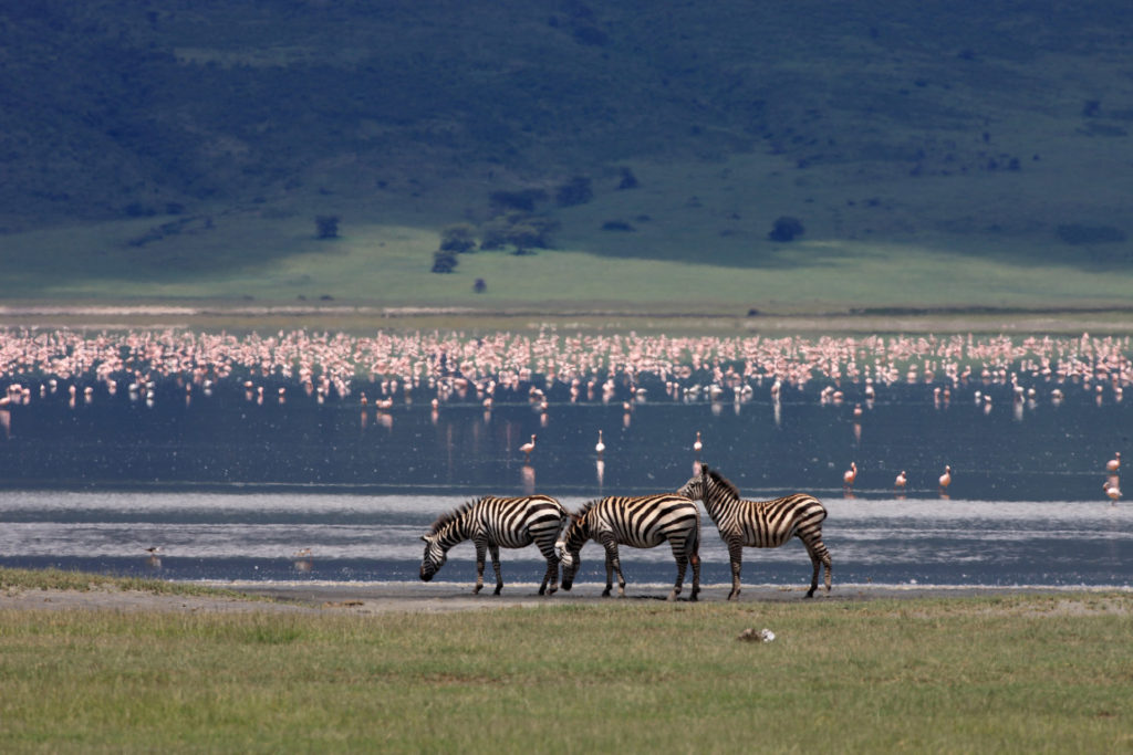 Tanzania National Parks