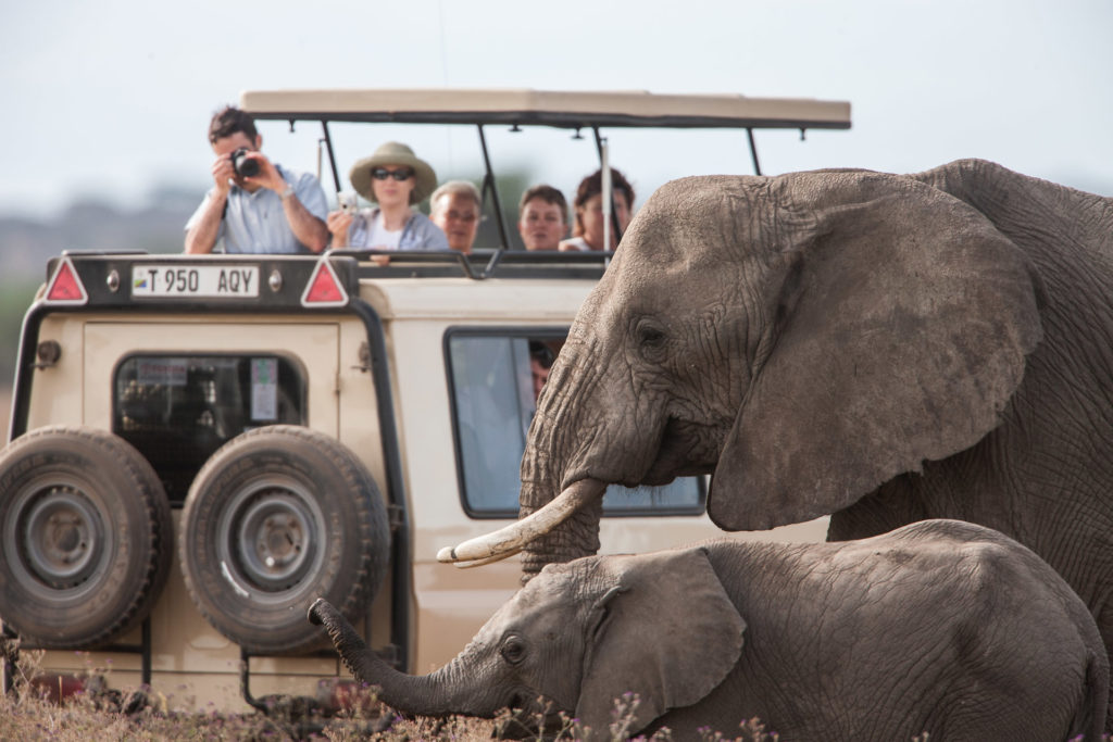 Tanzania Safari & Tours - Tanzania games drive