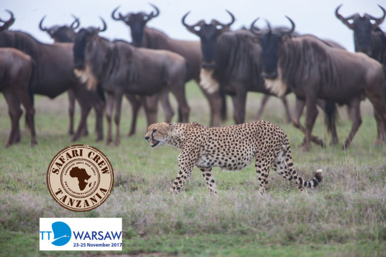 Safari Crew Tanzania at Warsaw, tourism fair